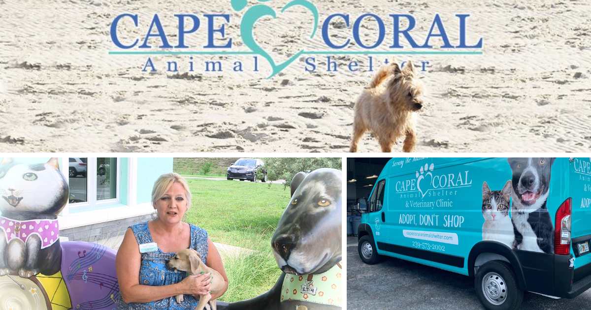 Cape Coral Animal Shelter: A Community Success Story Amplified by People and Pets Network